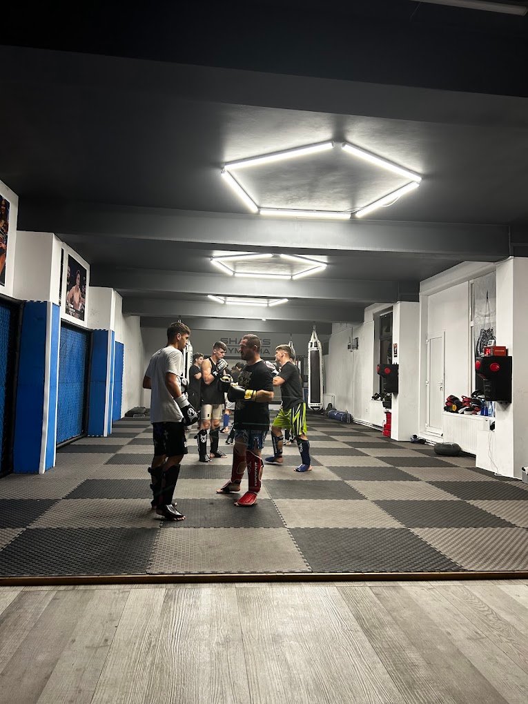 MMA Training